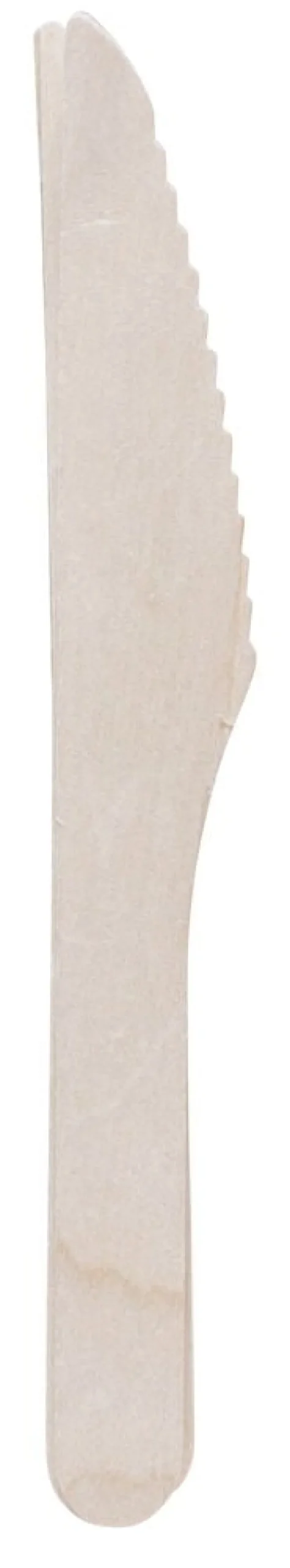 Aterinsetti