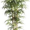 Bambu