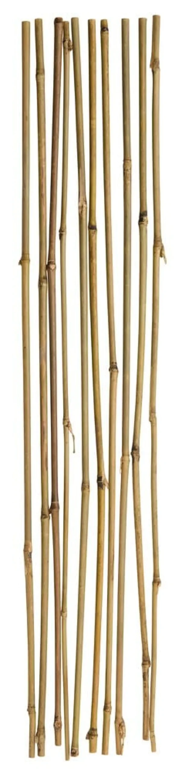 Bambutikku