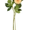 Daalia