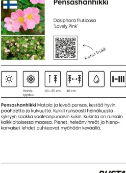 Hanhikki