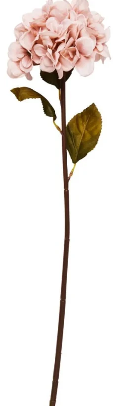 Hortensia