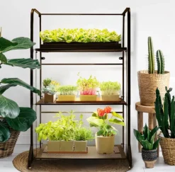 Kasvihylly 3 tasoa led-valolistoilla Strömsö