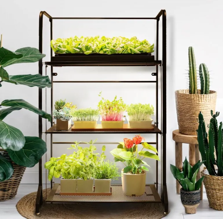 Kasvihylly 3 tasoa led-valolistoilla Strömsö