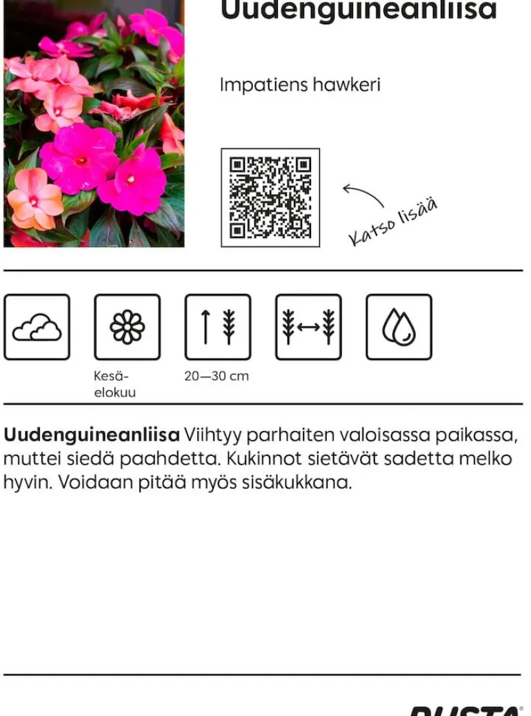 Kesäkukka