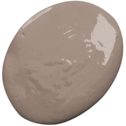 Kiiltomaali Professional finish