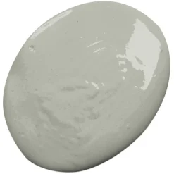 Kiiltomaali Professional finish