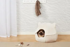 Kissanpeti Pet Club
