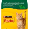 Kissojen kuivaruoka Friskies