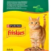 Kissojen kuivaruoka Friskies