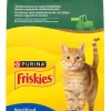Kissojen kuivaruoka Friskies