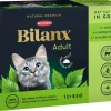 Kissojen märkäruoka Best Friend Bilanx
