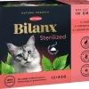 Kissojen märkäruoka Best Friend Bilanx