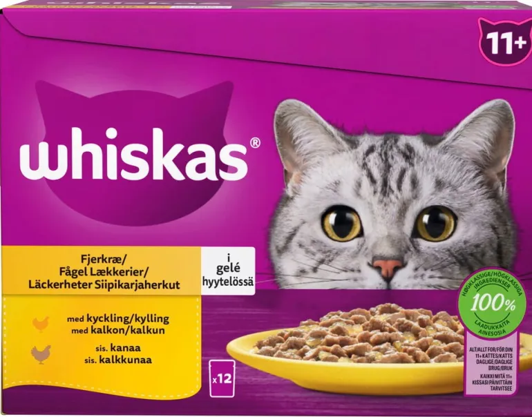 Kissojen märkäruoka Whiskas