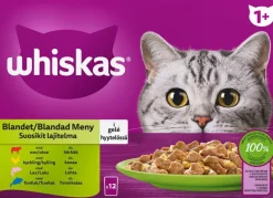 Kissojen märkäruoka Whiskas