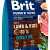 Koiran kuivaruoka Brit Premium by Nature