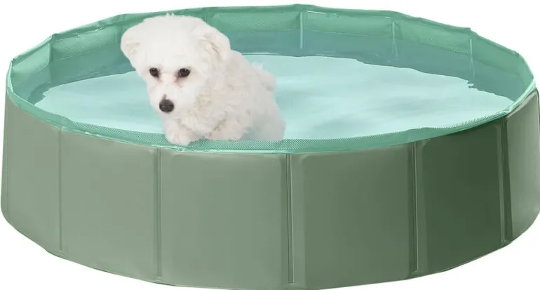 Koiran uima-allas Pet Club