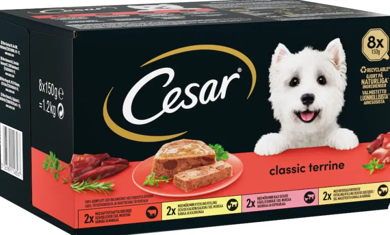 Koirien märkäruoka Cesar