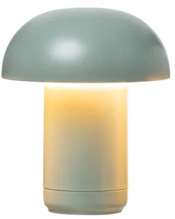 Koristevalaisin Spinello