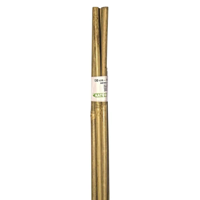 Kukkakeppi