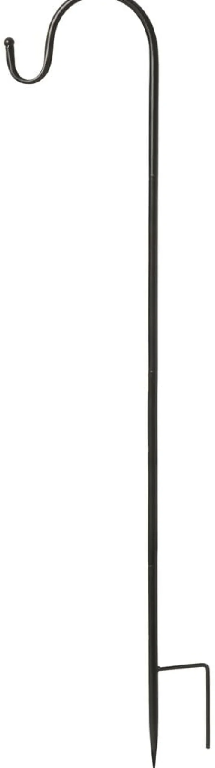 Lyhtypidike