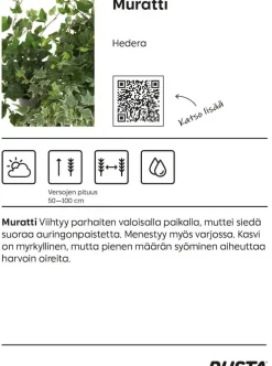Muratti
