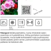 Pelargoni