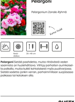 Pelargoni