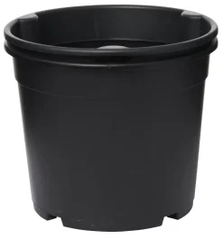 Perunaruukku