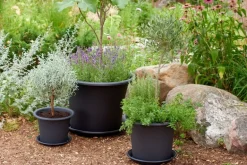 Ruukku Botanica Orthex