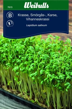 Siemenpussi Weibulls
