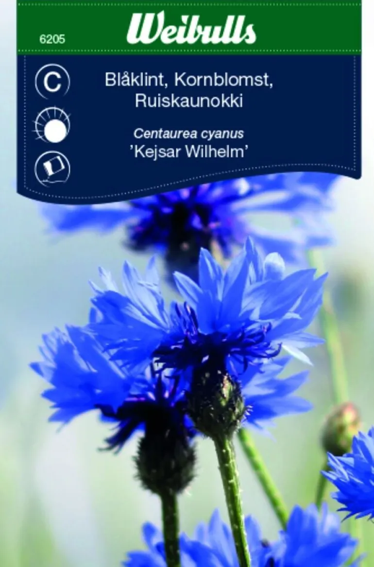 Siemenpussi Weibulls