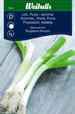 Siemenpussi Weibulls