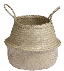 Säilytyskori Moses