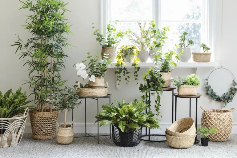 Säilytyskori Vilgot