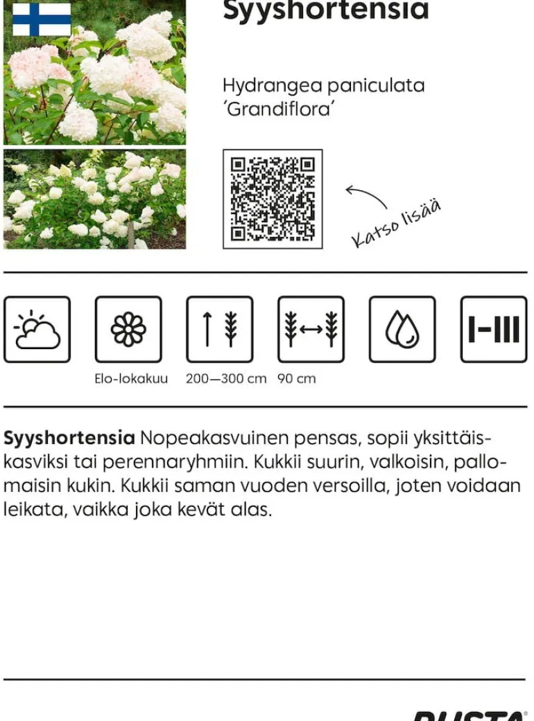 Syyshortensia