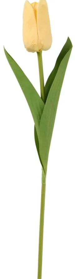 Tulppaani
