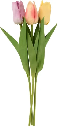 Tulppaani