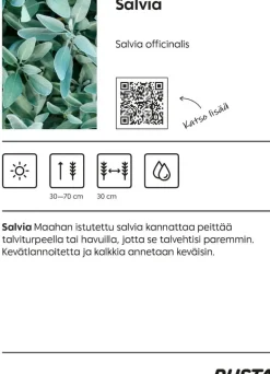 Yrttilajitelma
